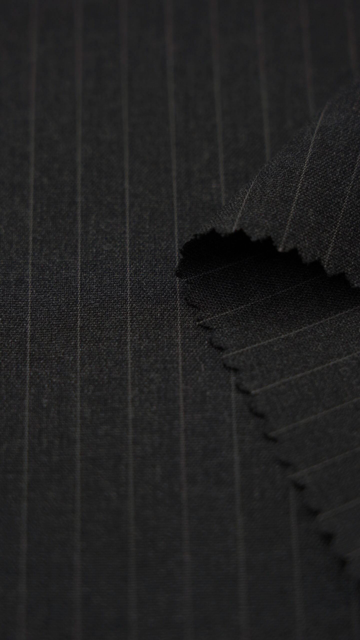 22003 Woven Fabric T/R/SP 69/29/2 - Ảnh 9